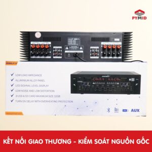 Amply Pronest P10 mặt sau