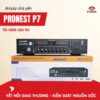 Amply nhà yến Pronest P7
