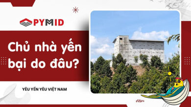Vì sao chủ nhà yến thất bại