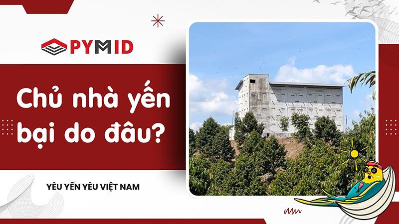 Vì sao chủ nhà yến thất bại