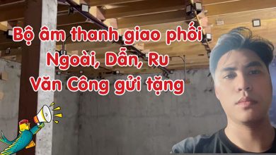 Bộ 3 âm thanh chim yến giao phối