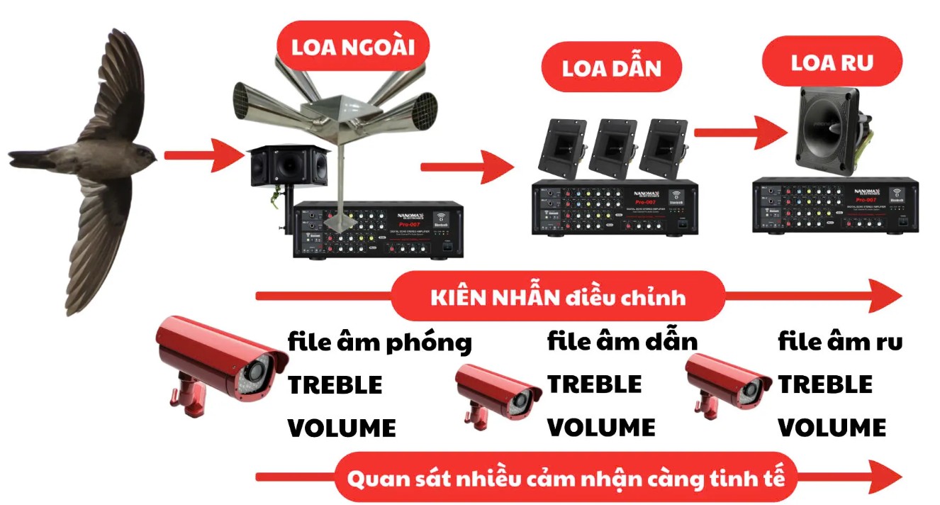 Cách chơi âm thanh nhà yến 2026