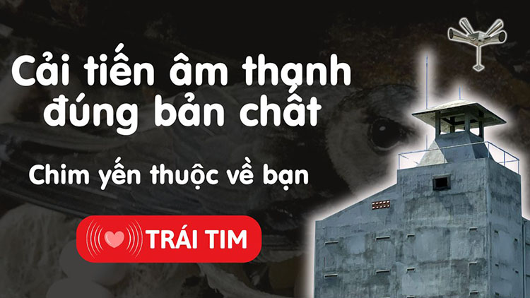 Cải tiến âm thanh chim yến