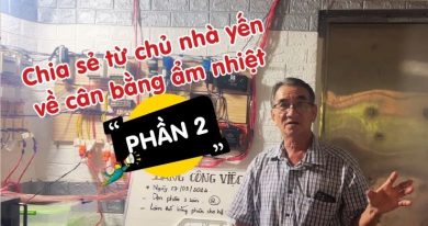 Cân bằng nhiệt độ, độ ẩm nhà yến từ chủ nhà