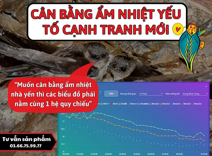 Cân bằng ẩm nhiệt yếu tố cạnh tranh mới cho kỹ thuật nghề nuôi yến