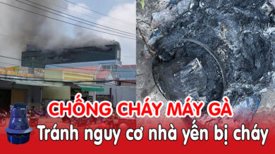 Chống cháy máy gà nguyên nhân dẫn đến một số sự cố hàng loạt cháy nhà yến gần đây