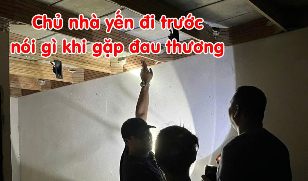 Chủ nhà yến đi trước nói gì khi gặp đau thương 