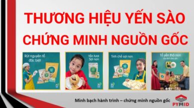 Chứng minh nguồn gốc nhà yến tự chủ