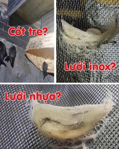 Cót tre lưới nhựa, lưới inox