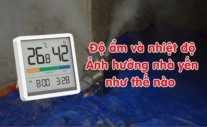 Độ ẩm và nhiệt ẩm ảnh hưởng nhà yến như thế nào