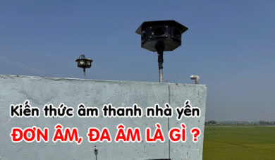 Đơn âm, đa âm thanh nhà yến là gì