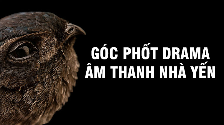Góc phốt âm thanh nhà yến
