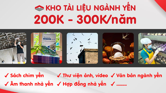 Kho tài liệu ngành yến - Cloud Pymid