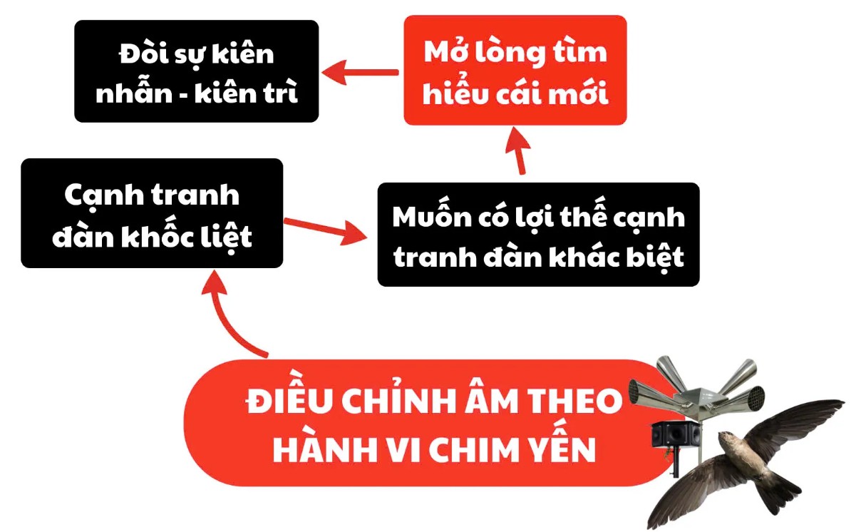 Hành vi chim yến 2026