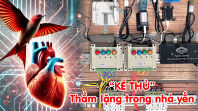 kẻ thù thầm lặng trong nhà yến