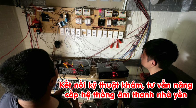 Kết nối kỹ thuật nhà yến