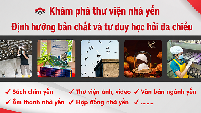 Khám phá thư viện nhà yến