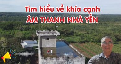 Tìm hiểu vê khía cạnh âm thanh nhà yến