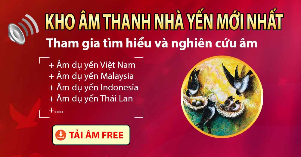 Kho âm thanh nhà yến 2024 mới cập nhật