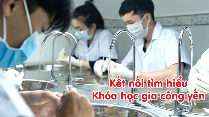 Khóa học gia công tổ yến