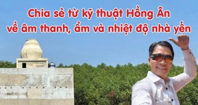 Chia sẻ tử kỹ thuật yến sào Hông Ân về âm, ẩm, nhiệt độ của nhà yến