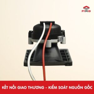 loa ru NX-2W
