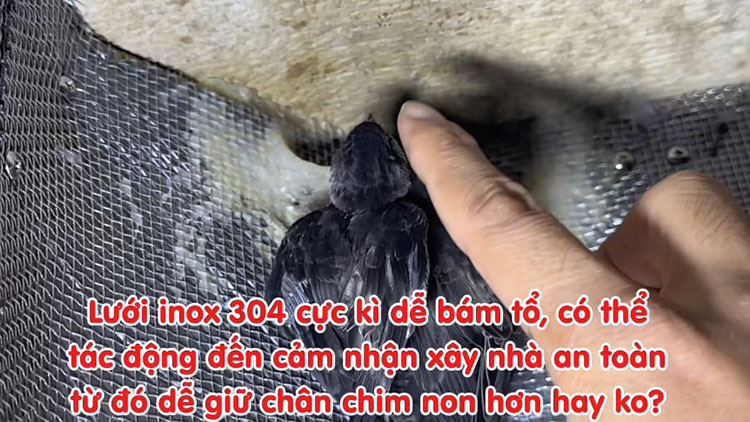 Lưới inox nhà yến 304 10 Mesh