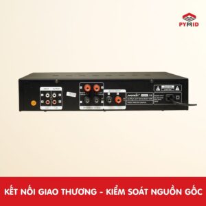 Mặt sau Pronest P2