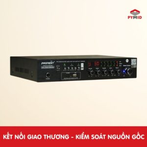 Mặt trước Amply nhà yến Pronest P2