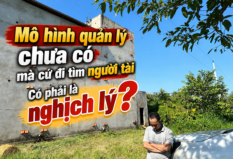 Mô hình quản lý nhà yến
