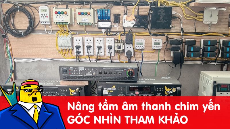 Nâng tầm âm thanh chim yến - Góc nhìn tham khảo