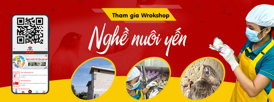Tham gia workshop nghề nuôi yến