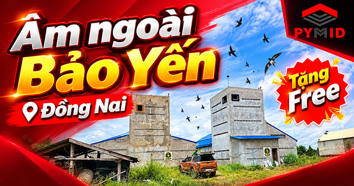 Âm ngoài Bảo Yến Đồng Nai - Tải Free