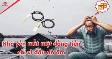 Nhà yến bị mất tiền vì đầu dò ẩm