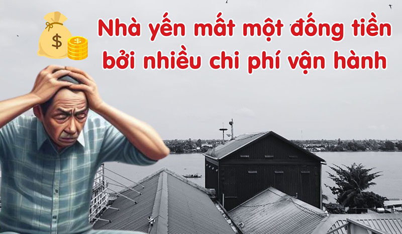 nhà yến mất tiền do nhiều chi phí và trách nhiệm vận hành