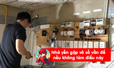 Nhà yến nhiều sự cố nếu không giám sát vận hành nhà yến tự chủ
