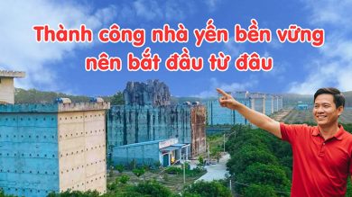 Để thành công nhà yến bền vững nên bắt đầu tư đâu