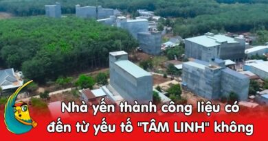 Nhà yến thành công có đến từ tâm linh không