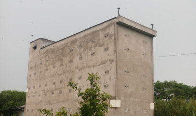 Nghiên cứu nhà yến Trần Thế Ngọc