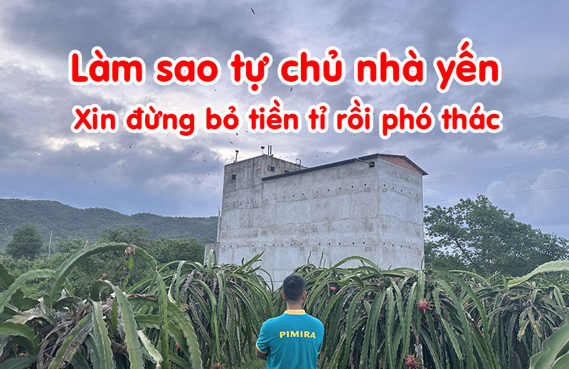 Nhà yến tự chủ bỏ tiền tỷ xin đừng phó thác
