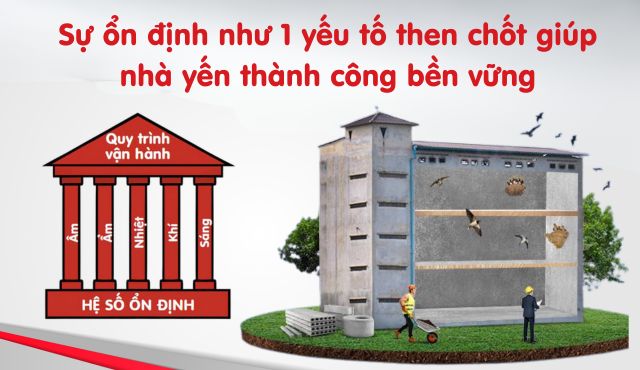 Ổn định giúp nhà yến bền vững