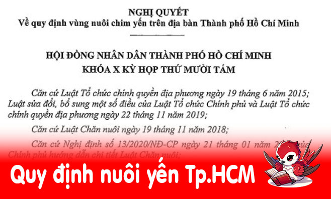 Quy định nuôi yến TP.HCM