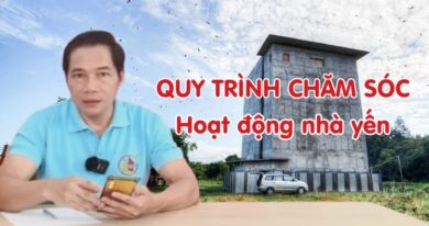 Quy trình chăm sóc nhà yến Asiannest