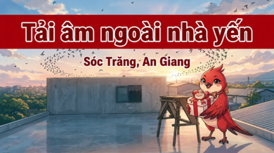 Tải âm ngoài nhà yến sóc trăng và an giang