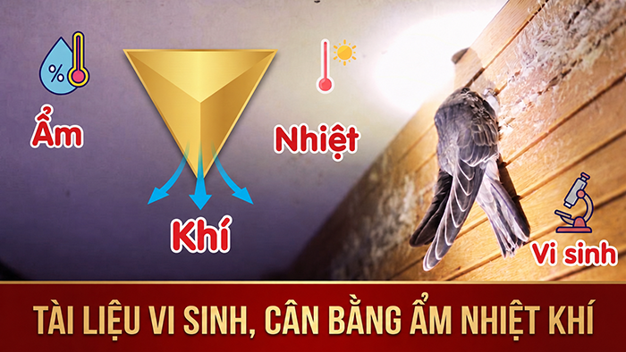 Tài liệu vi sinh nhà yến, cân bằng ẩm nhiệt khí