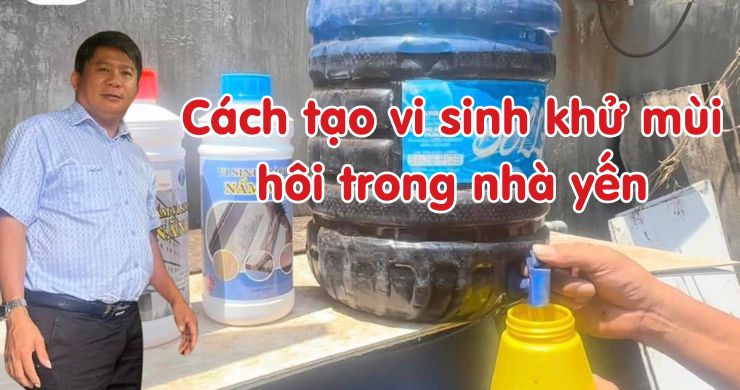 Cách tạo vi sinh khử mùi hôi trong nhà yến