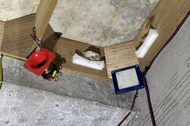 Tổ giả cho chim yến