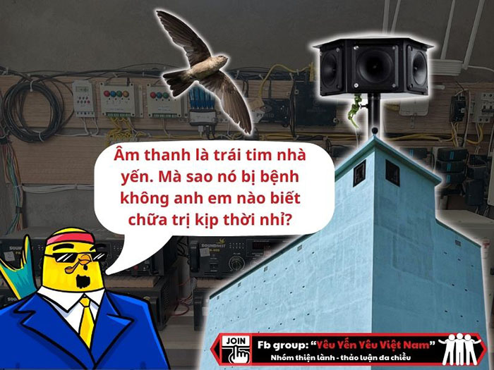 Âm thanh là trái tim nhà yến