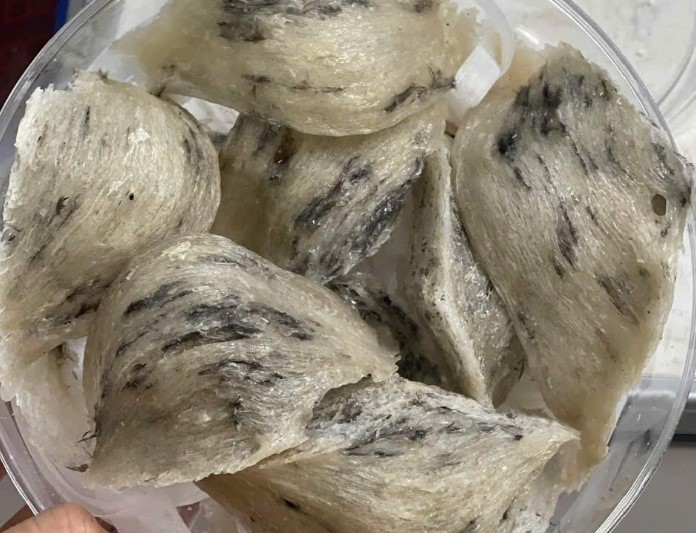 Tổ yến trước khi sử dụng máy phun sương cao áp bên trong nhà yến