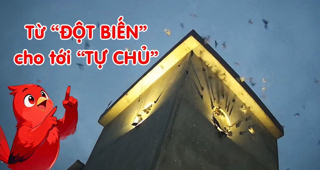 Từ đột biến cho tới tự chủ